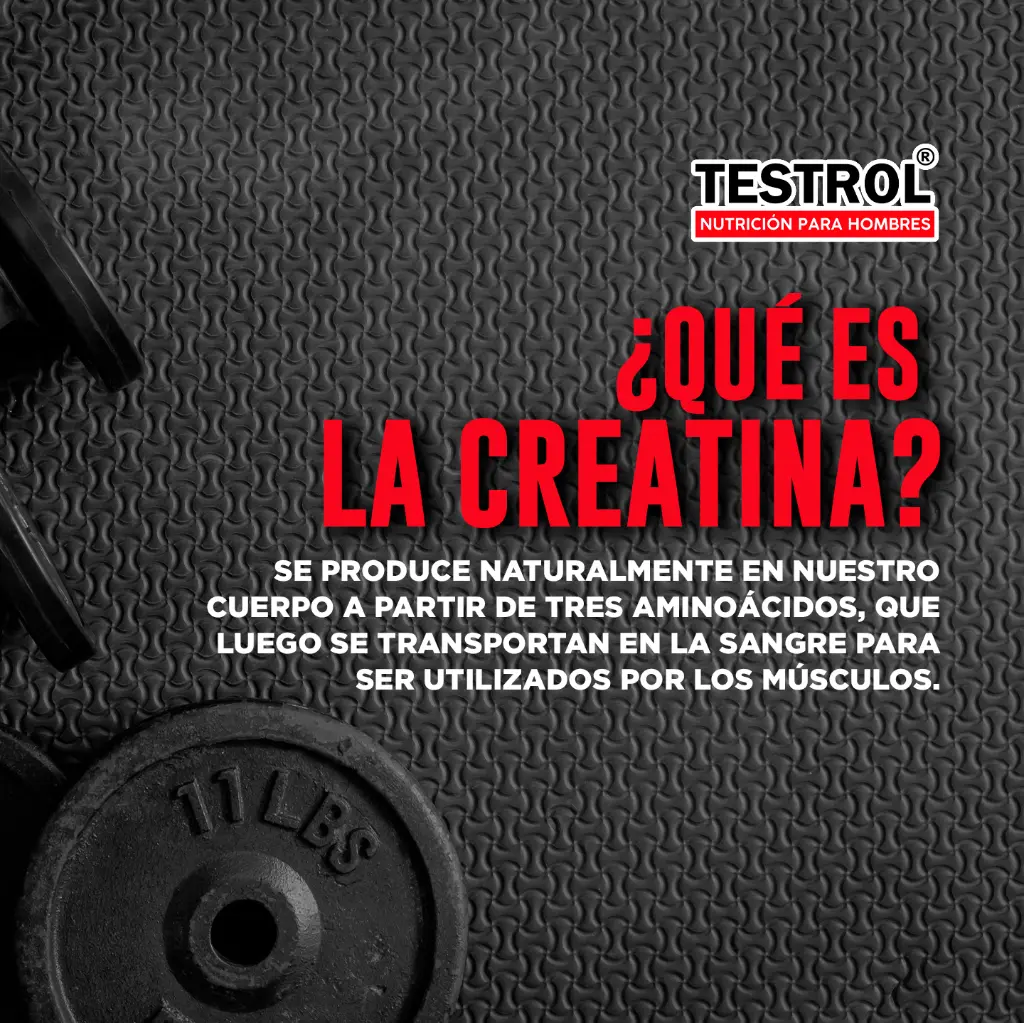 creatina ess 80 1.4.webp