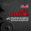 creatina ess 80 1.4.webp