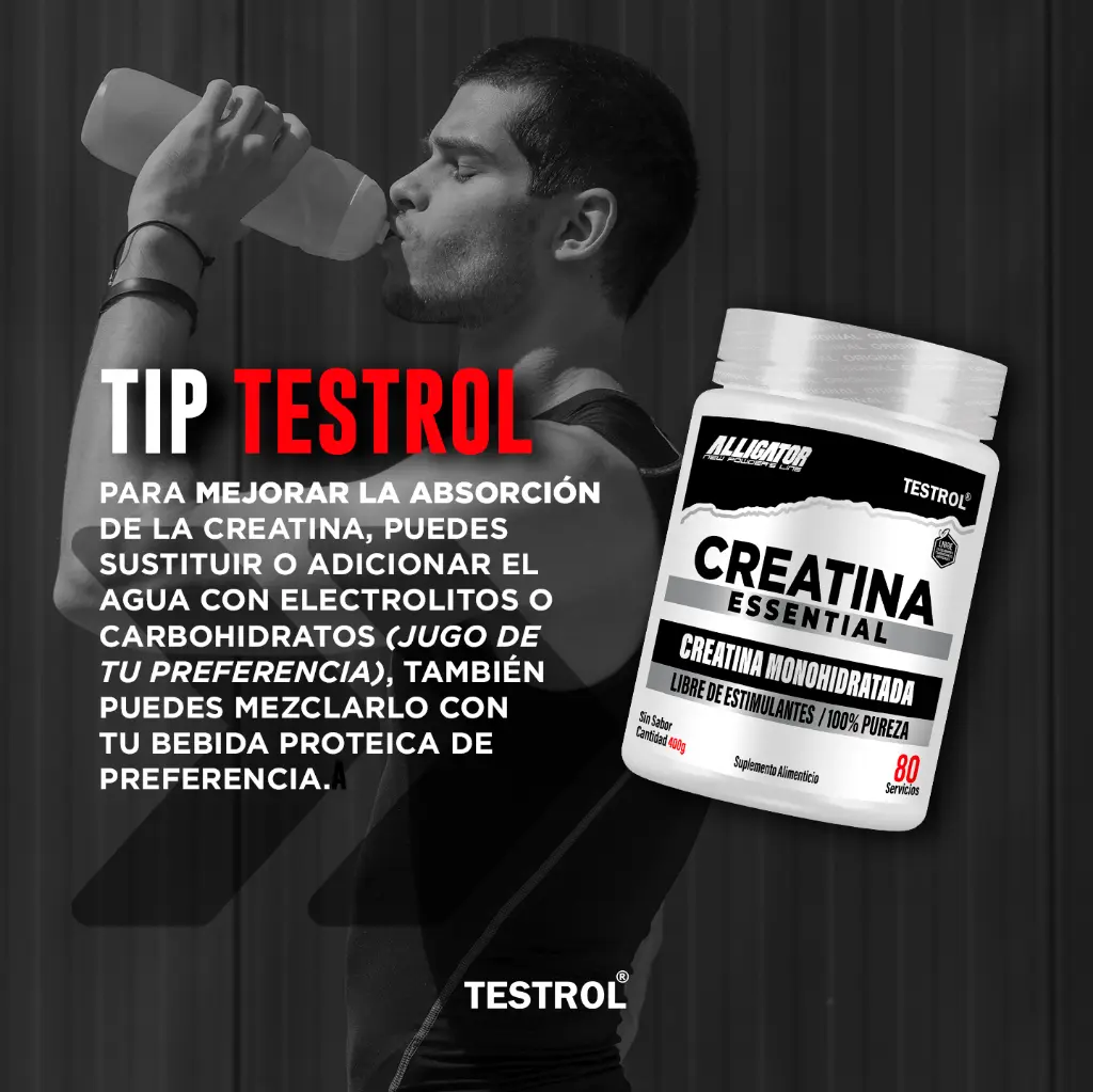 creatina ess 80 1.6.webp
