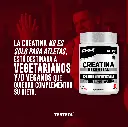 creatina ess 80 1.8.webp