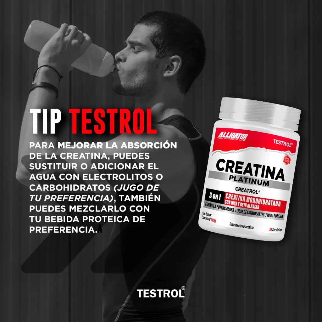 creatina plat 30 1.6.webp