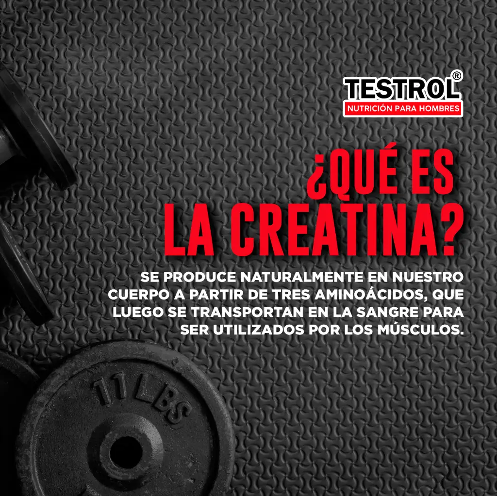 creatina plat 120 1.3.webp