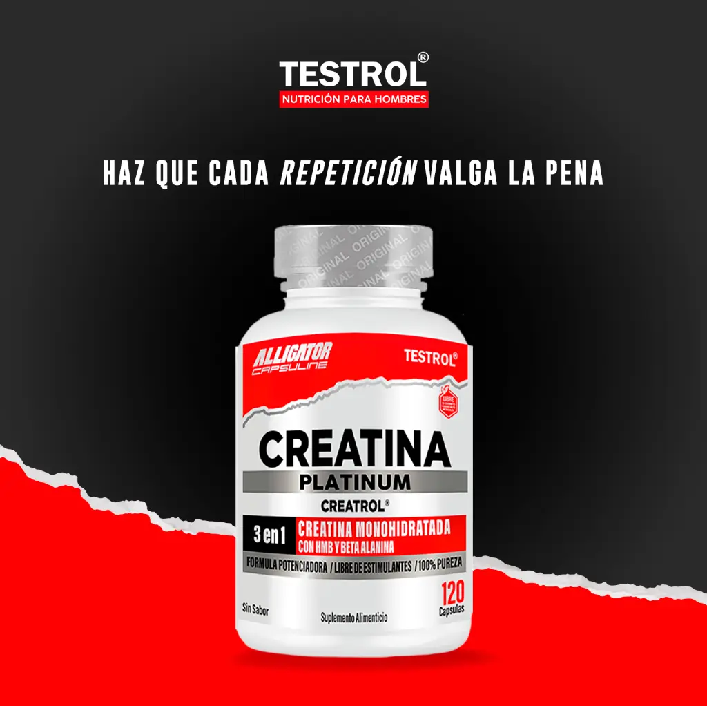 creatina plat 120 1.5.webp