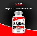 creatina plat 120 1.5.webp