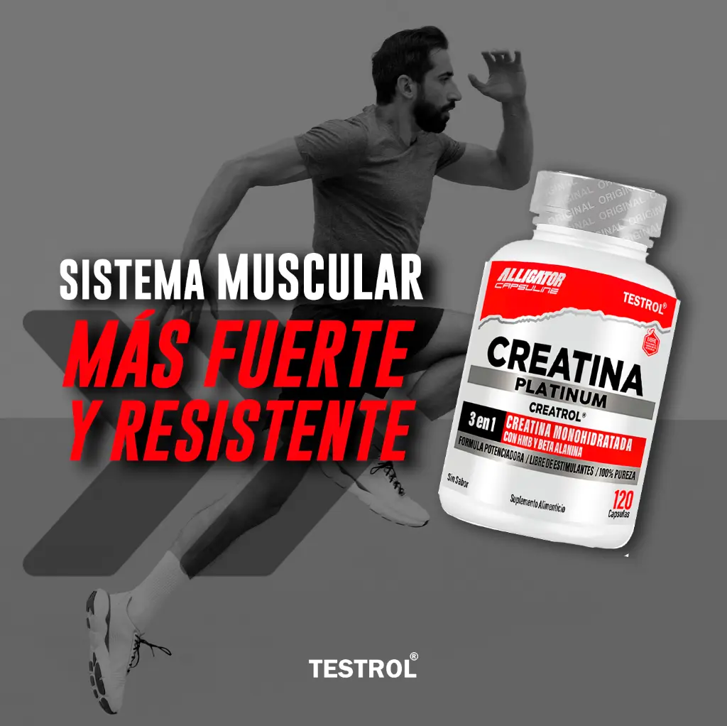 creatina plat 120 1.6.webp