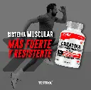 creatina plat 120 1.6.webp