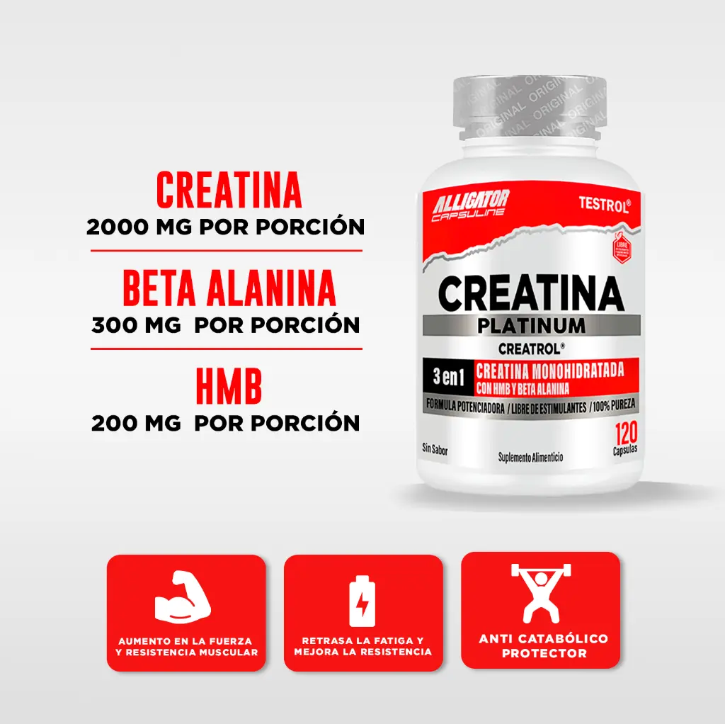 creatina plat 120 1.4.webp