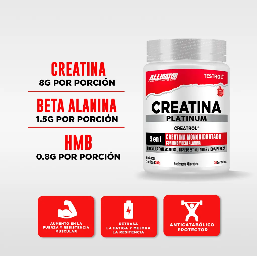 creatina plat 30 1.3.webp